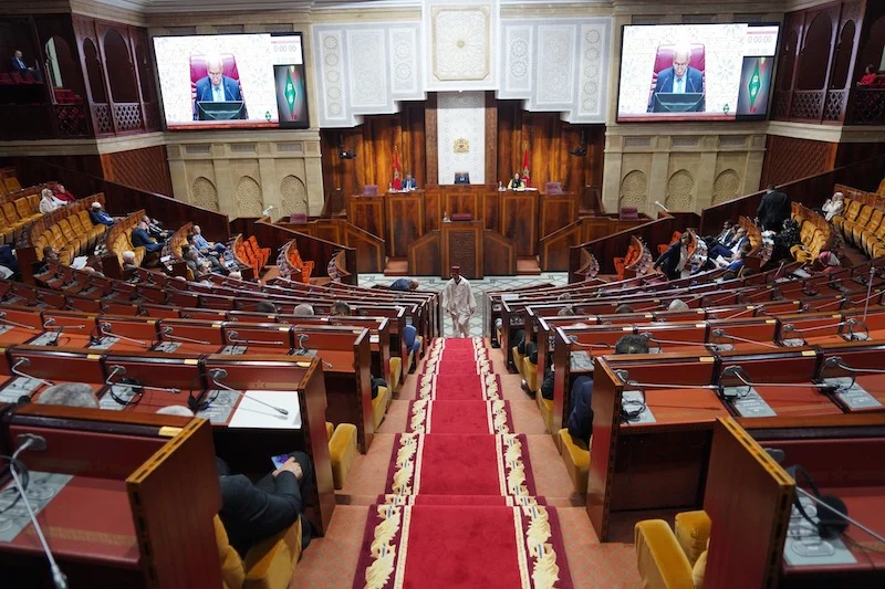 فريق مشترك يجمع "الحصان" و"النخلة"
